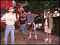 Picture 240.jpg