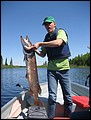 thomas 42 inch northern pike chapleau 2013 b.jpg